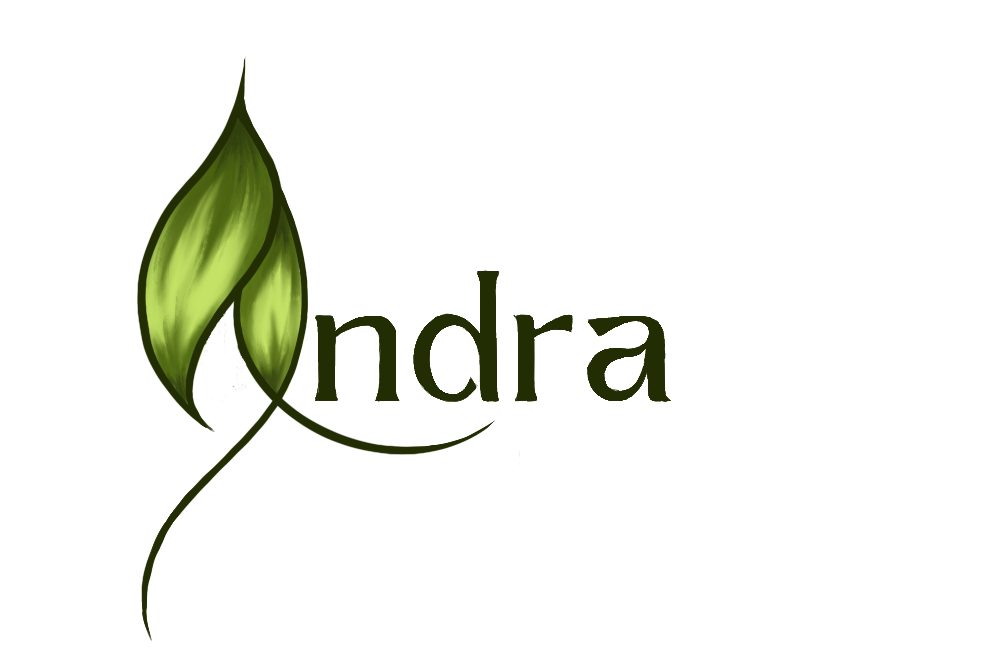 Andra
