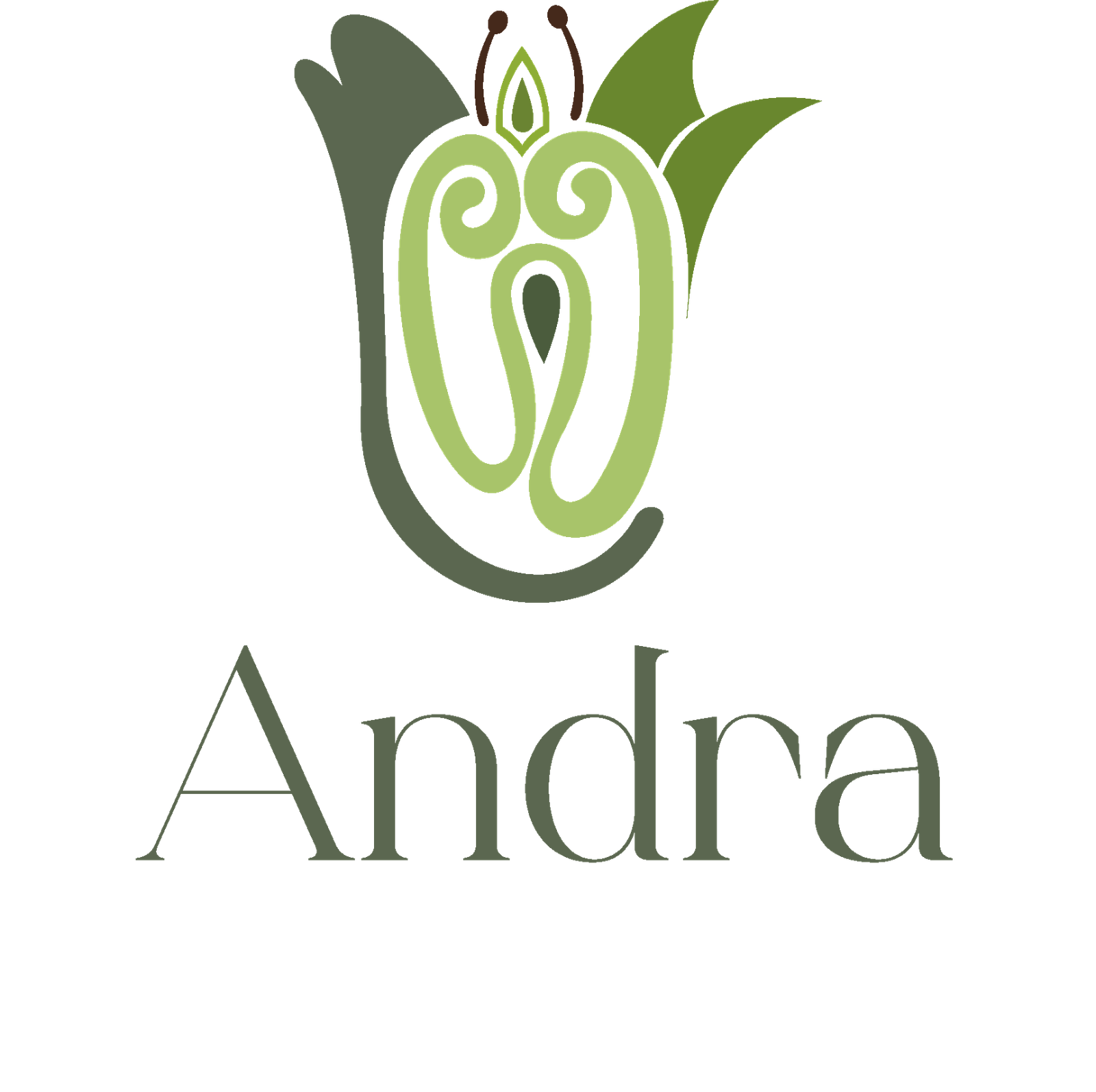 Andra