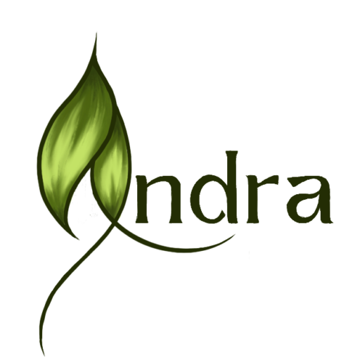 Andra